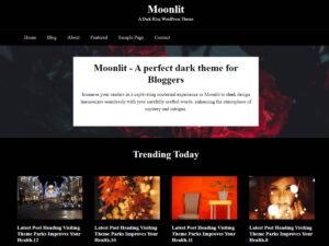 Moonlit Dark WordPress Theme