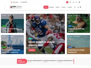 Newscrunch WordPress Theme