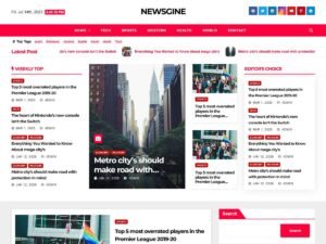Newsgine WordPress Theme