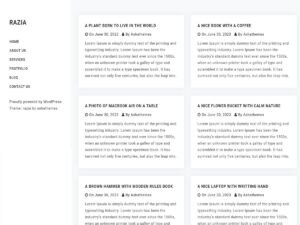 Razia WordPress Theme