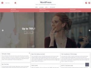 Retail Blogging WordPress Theme