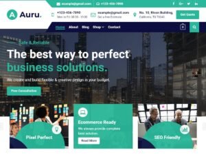 Auru WordPress Theme
