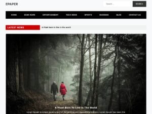 Epaper WordPress Theme
