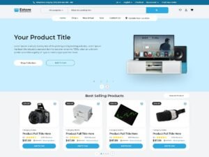 Estore Woocommerce WordPress Theme