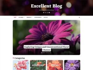 Excellent Blog WordPress Theme