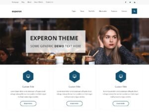 Experon eBlog WordPress Theme