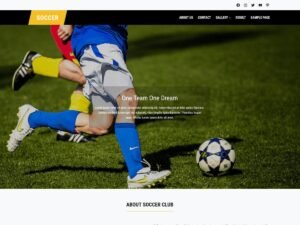 FSE Soccer WordPress Theme
