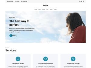Infinix WordPress Theme