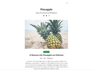 Pineapple WPEX WordPress Theme