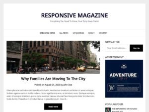 Responsive Magazinely WordPress Theme