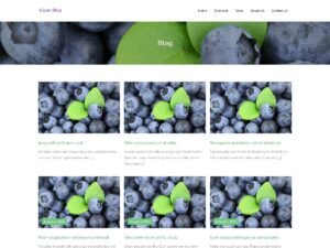 WP Clean Blog WordPress Theme