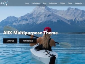 AllX WordPress Theme