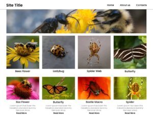 Ava WP WordPress Theme