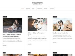 Blog Storm WordPress Theme
