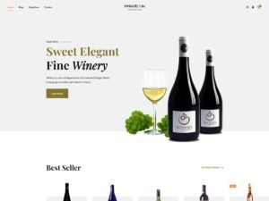 Drinkify Lite WordPress Theme