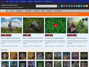GridBone WordPress Theme