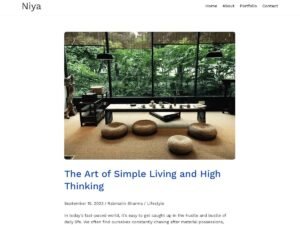Niya WordPress Theme