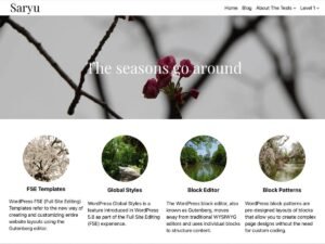 Saryu WordPress Theme