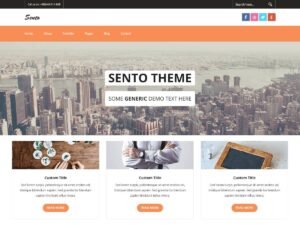 Sento Store WordPress Theme