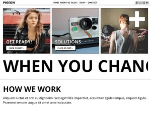 Pigeon WordPress Theme