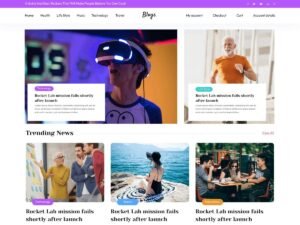 Professional Blogger WordPress Theme