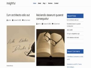BInsight WordPress Theme