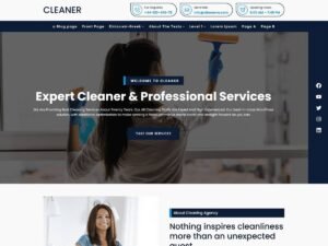 Cleaner WordPress Theme