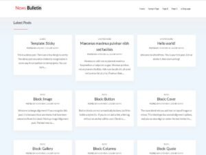PH News Bulletin WordPress Theme