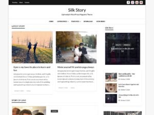 Silk Story WordPress Theme