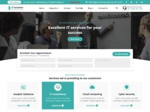Software IT Company WordPress Theme