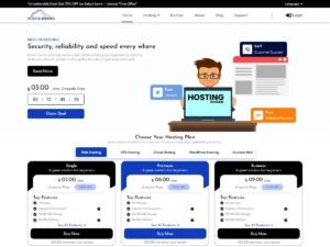 VW Hosting Services WordPress Theme