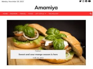 vastnews WordPress Theme