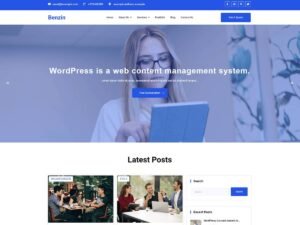 Benzin WordPress Theme
