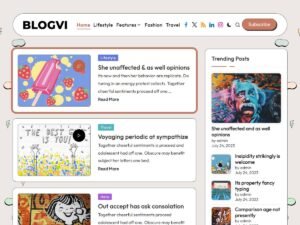 Blogvi WordPress Theme