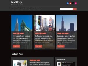 Inkstory WordPress Theme