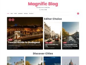Magnific Blog WordPress Theme