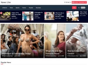 Xews Lite WordPress Theme