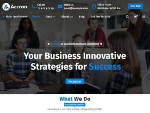 Accron WordPress Theme