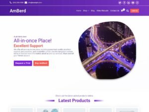 AmBerd – Online Store WordPress Theme