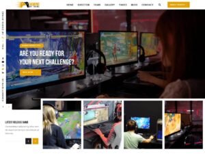 Expert Gamer WordPress Theme