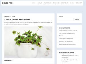Koyel Blog WordPress Theme