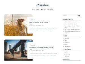 Marvellous WordPress Theme