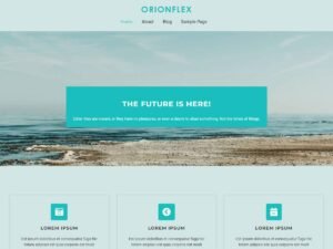 OrionFlex WordPress Theme