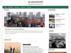 SK Newspaper WordPress Theme