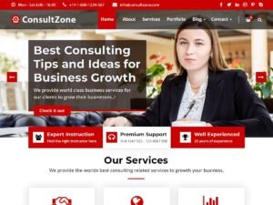 ConsultZone WordPress Theme