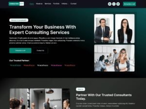 ConsultingWP website presence WordPress Theme