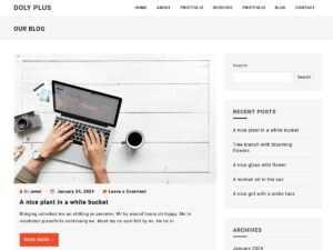Doly Plus WordPress Theme