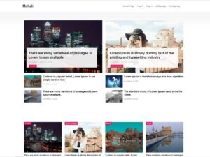 Mohali WordPress Theme
