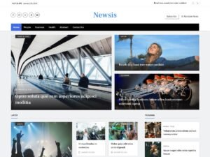 Newsis WordPress Theme