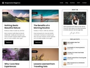 Responsive Elegance WordPress Theme